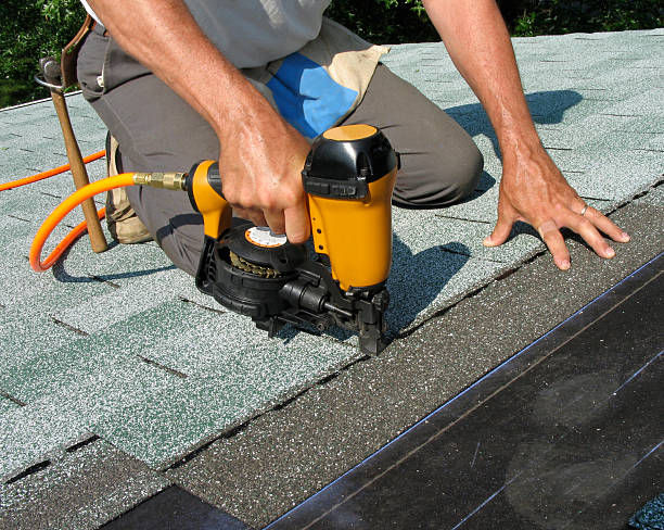 Best Roof Gutter Cleaning  in Spring Park, MN