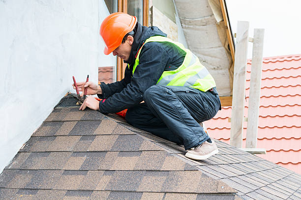 Best Flat Roof Repair Services  in Spring Park, MN